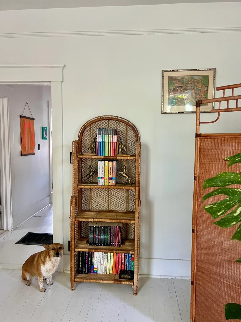 Client view of the therapy office, featuring a rattan bookcase and a dog sitting.